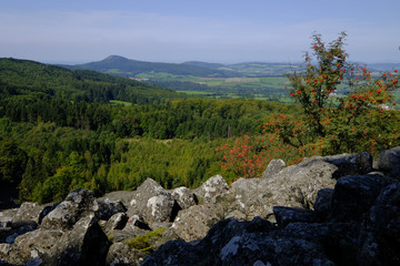Blockschutthalde am Schafstein, Biosphärenreservat Rhön, Hessen, Deutschland
