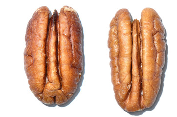 Two pecans  /  Two pecans on a white background. Focus is on the center.