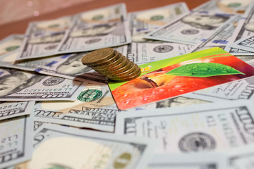 денежные купюры и пластиковая банковская карта