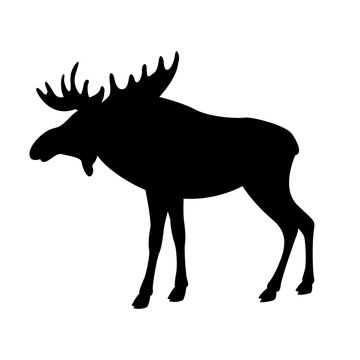 moose elk vector illustration black silhouette profile