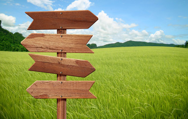wooden sign on field grass..