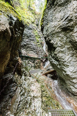 tourist trail in woods