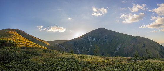 Panorama of Carpathian mountains in summer sunny day. © bilanol