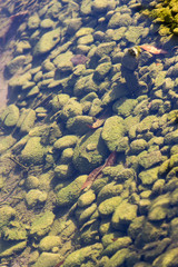 stones under water as a background