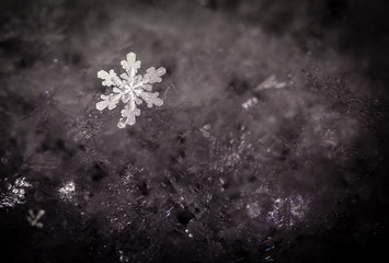 Illuminated white snowflake on black background