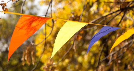 Obraz premium colored flags on the nature autumn