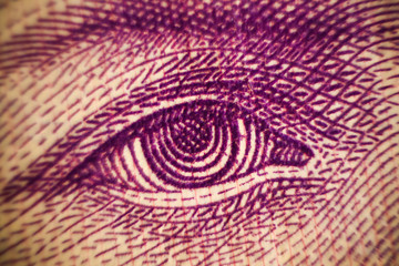 money banknote macro closeup shot eyes of Ukraine famous people value cash exchange