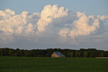 Clouds Over Field