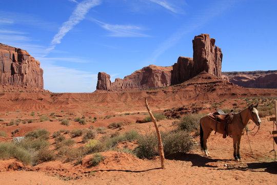 Horse In Monument Valley In Navajo Tribal Park In USA