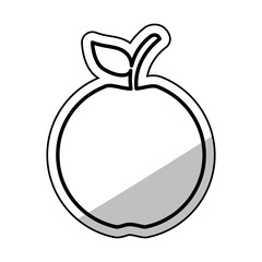 white apple fruit icon vector illustration graphic design
