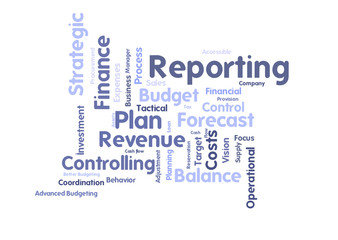 Financial Reporting word cloud
