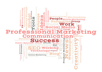Professional Marketing word cloud