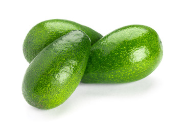 avocado on a white background