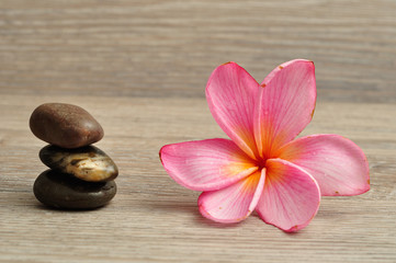 Naklejka na ściany i meble A pink frangipani flower with a pile of flat stones next to it