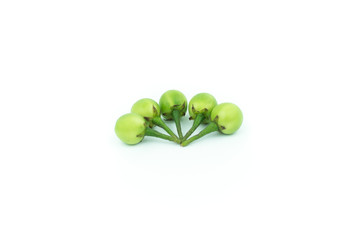 turkey berry (Solanum torvum) isolated in white background
