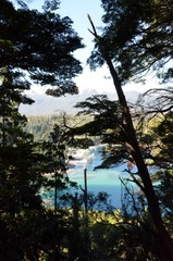 Obraz premium Argentina,Bariloche,suramerica,turismo,lagos,montañas,pinos,naturaleza,paisajes,nieve,invierno,canoas,hermoso