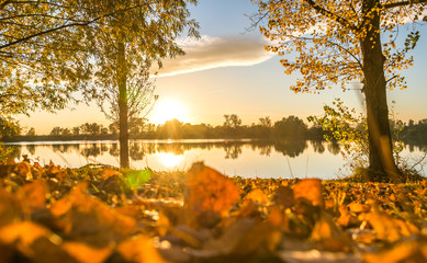 Romantic sunset in the autumn forest on the lake