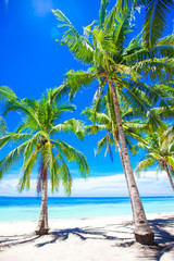 Beautiful tropical beach with palm trees, white sand, turquoise ocean water and blue sky