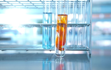 test tubes with orange solution in metal rack in lab science