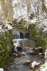 Górski strumień © Bartosz