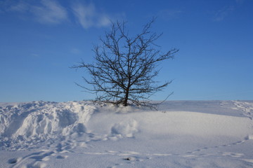 Fototapeta na wymiar fields covered with snow
