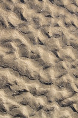 Sand Texture 2