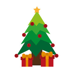 Gift and pine tree icon. Christmas season decoration and celebration theme. Colorful design. Vector illustration