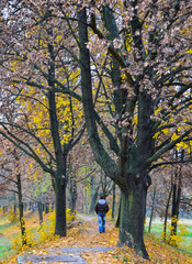 Young boy and autumn