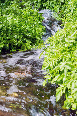 Small waterfall stream in the park