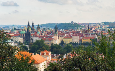 Fototapeta premium Prague Castle and Saint Vitus Cathedral, Czech Republic