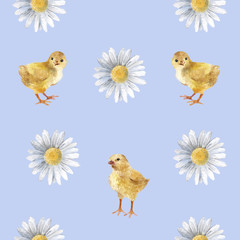 Seamless pattern with chicken and chamomile on a blue background © muara