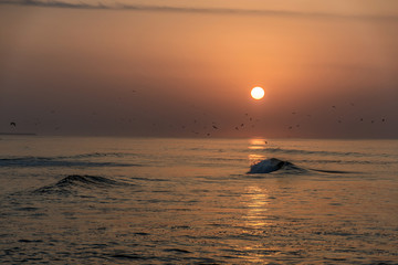 Amazing Sunset red waves at beach Salalah Oman 3