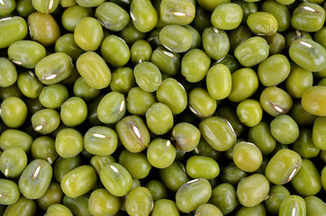 Green bean or mung bean background