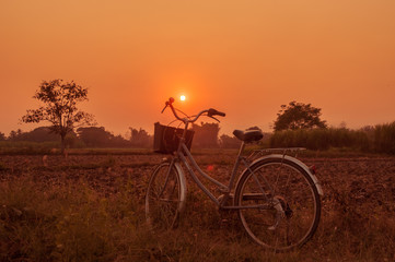 Fototapeta premium Landscape of field with retro bicycle and sunset background