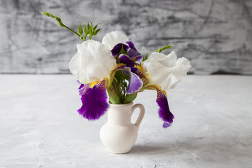 Violet iris flower on grey background. Selective focus