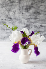 Violet iris flower on grey background. Selective focus