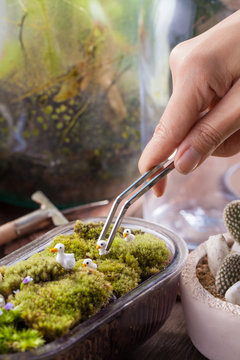 A terrarium garden scene in a bowl decorated with duck family minature toy using stainless forceps