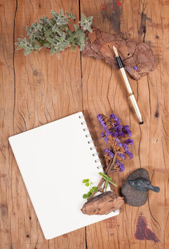 Blank notebook with fountain pen and ink set on wood texture background decorated with succulent and cactus plant and tools.