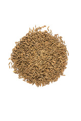 Whole caraway seed isolated on white background