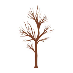 tree trunk with branchs without leaves vector illustration