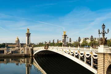 Fototapeta na wymiar Alexandre III bridge in Paris, France.
