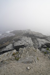 Rocky Coast in Fog