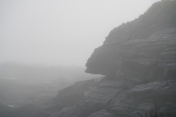 Rocky Coast in Fog