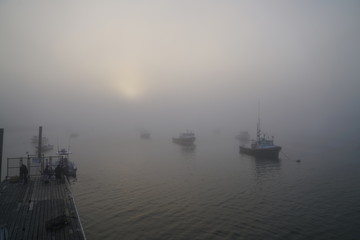 Foggy Harbor