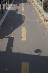 Fototapeta premium 가을 풍경