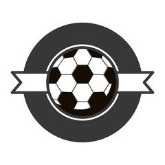 gray scale emblem with soccer ball and ribbon in middle vector illustration