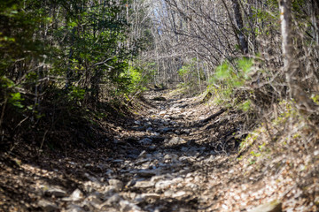 hard road of stones