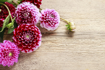 Dahlia flowers on wooden background