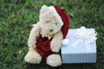 Teddy bear and gift boxes on the lawn.