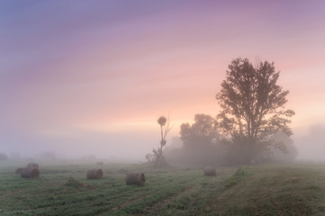 Dawn over a misty meadow with trees and straw blocks